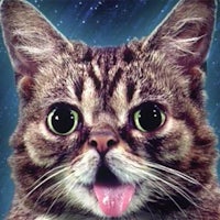 a cat with its tongue out in front of a starry background